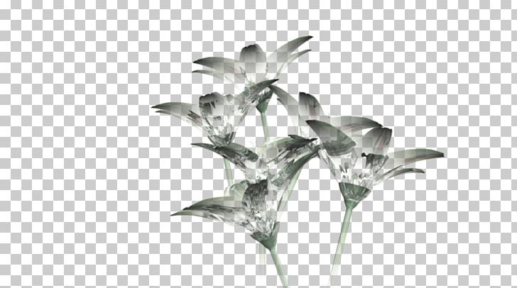 Cut Flowers Glass Petal Plant Stem PNG, Clipart, Anime, Art, Art Museum, Black And White, Branch Free PNG Download