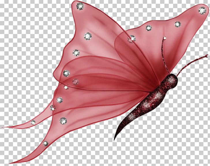 Desktop Butterfly IPhone PNG, Clipart, Arthropod, Butterfly, Desktop Environment, Desktop Wallpaper, Download Free PNG Download