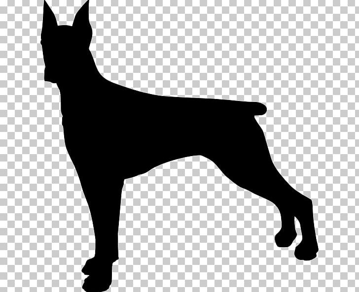 Dobermann German Shepherd Rottweiler German Pinscher Miniature Pinscher PNG, Clipart, Animals, Black, Black And White, Carnivoran, Dobermann Free PNG Download