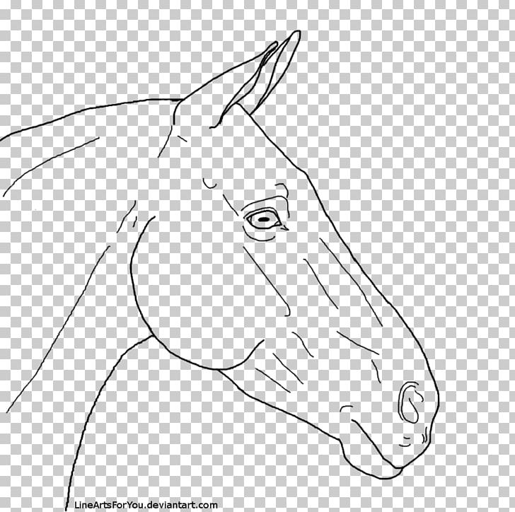 Snout Line Art Horse Mule Pony PNG, Clipart, Angle, Animals, Area, Artwork, Black And White Free PNG Download