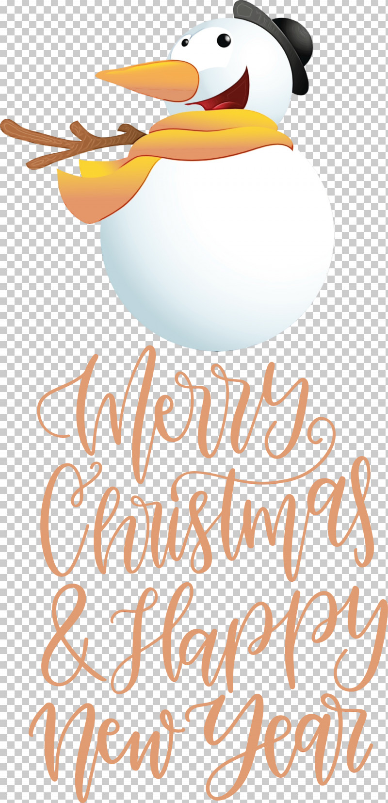 Birds Ducks Beak Water Bird Happiness PNG, Clipart, Beak, Biology, Birds, Christmas Snow Background, Ducks Free PNG Download