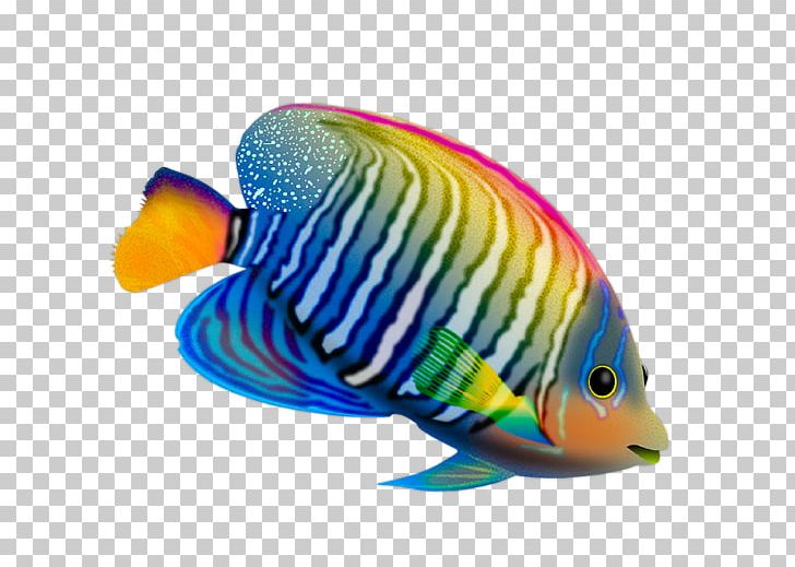 Desktop Fish Live Computer PNG, Clipart, Animal, Animals, April Fools Day, Color Pencil, Color Powder Free PNG Download