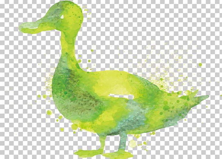Duck Goose Watercolor Painting PNG, Clipart, Animals, Art, Background Green, Bird, Canvas Free PNG Download