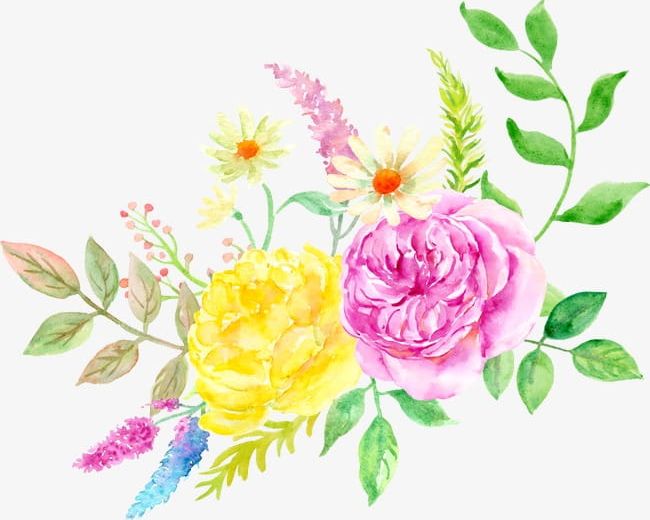 Elegant Watercolor Flowers PNG, Clipart, Elegant Clipart, Flower ...