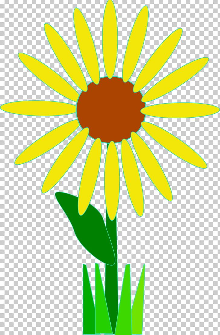 Flower PNG, Clipart, Area, Artwork, Blog, Clip, Common Daisy Free PNG Download
