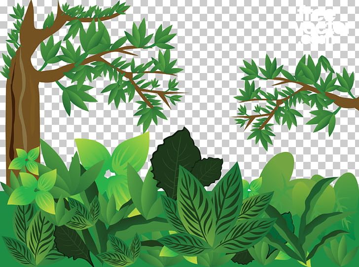 Forest Euclidean PNG, Clipart, Background Green, Big , Branch, Grass, Green Apple Free PNG Download