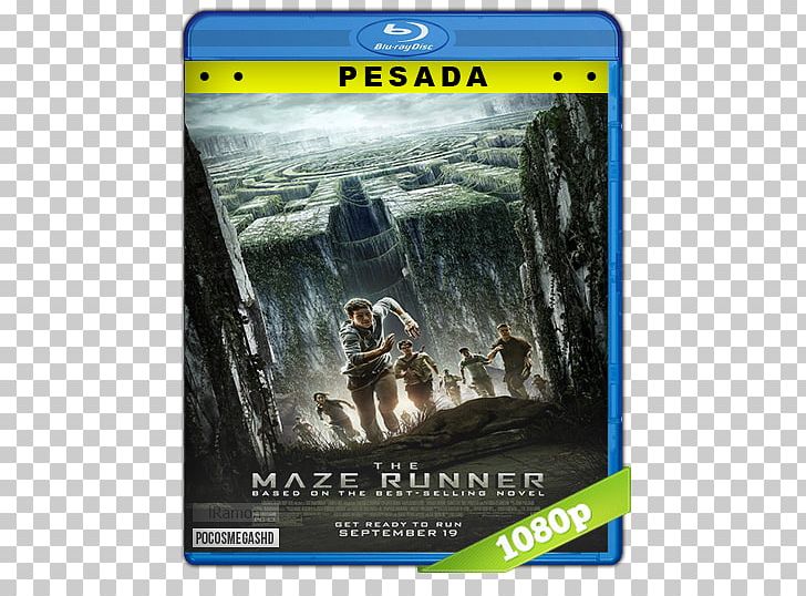 Maze Runner Painting Film Poster PNG, Clipart,  Free PNG Download