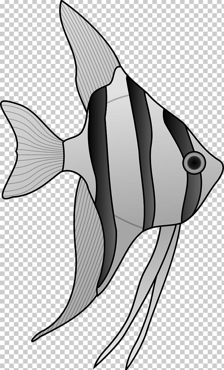 How To Draw A Cartoon Fish, Step by Step, Drawing Guide, by Dawn - DragoArt