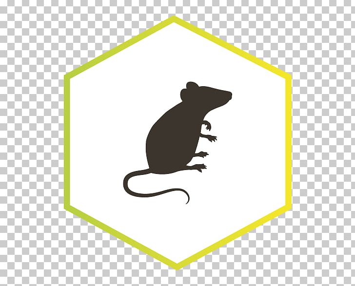 Rat Rodent ネズミ Silhouette PNG, Clipart, Animals, Carnivoran, House Mouse, Line, Mammal Free PNG Download