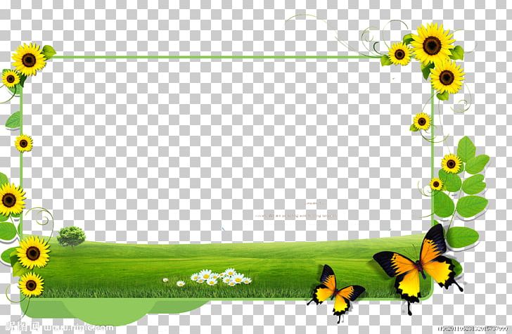 Common Sunflower PNG, Clipart, Border Texture, Butterfly, Design, Early Childhood Education, Flower Free PNG Download