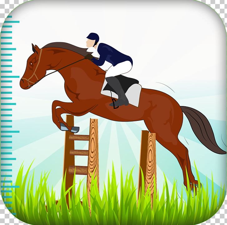 Horse Equestrian Show Jumping Pony English Riding PNG, Clipart, Animals, Bridle, Crosscountry Equestrianism, Cross Country Equestrianism, English Riding Free PNG Download