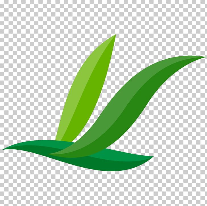 Leaf Plant Stem PNG, Clipart, Grass, Green, Leaf, Plant, Plant Stem Free PNG Download