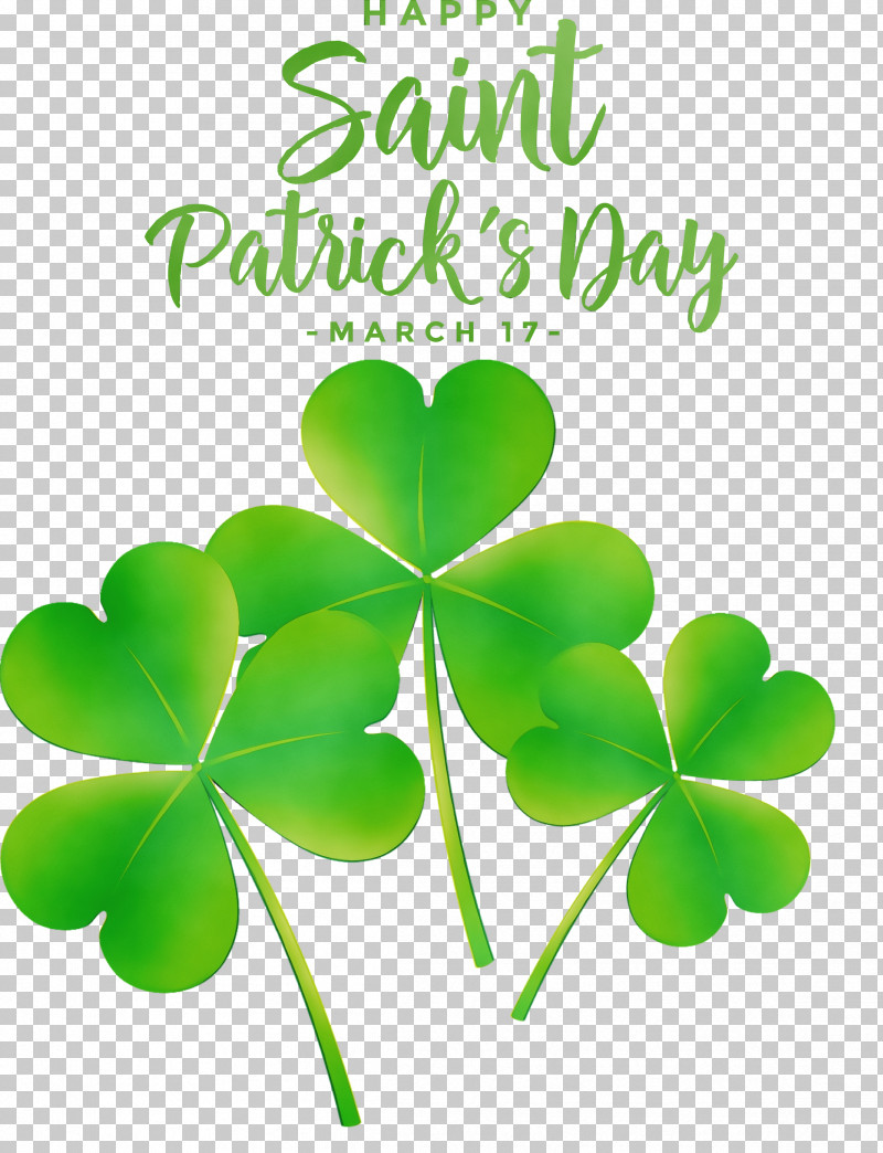 Shamrock PNG, Clipart, Biology, Green, Leaf, Meter, Paint Free PNG Download