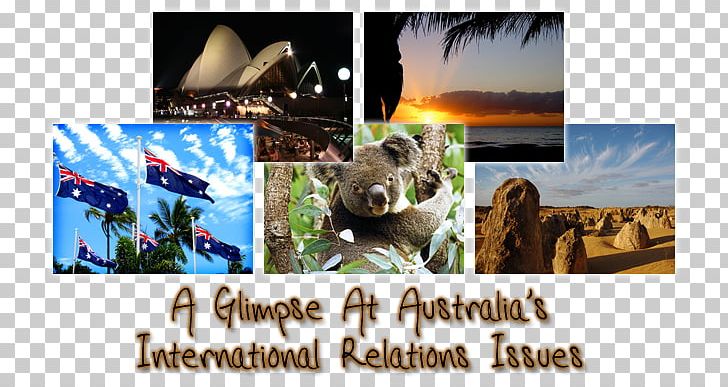 Advertising Koala Collage Desktop Photographic Printing PNG, Clipart, Advertising, Australian Passport, Brand, Collage, Computer Free PNG Download