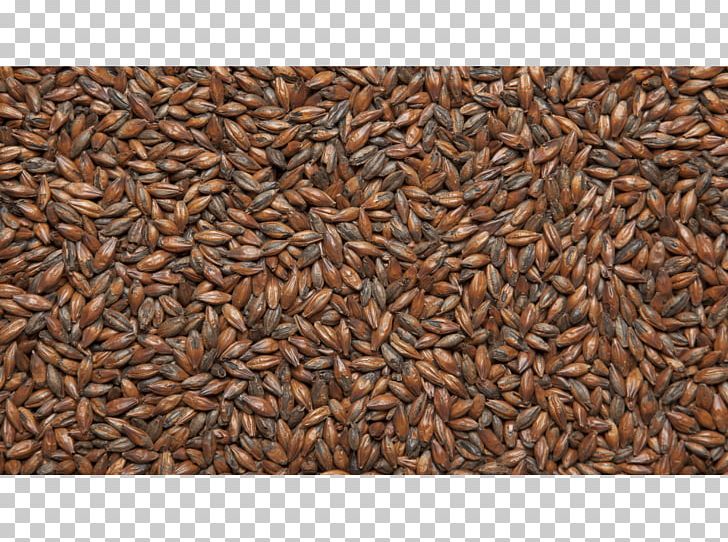 Beer Pale Ale Malt Pilsner PNG, Clipart, Ale, Beer, Beer Brewing Grains Malts, Bock, Brown Ale Free PNG Download