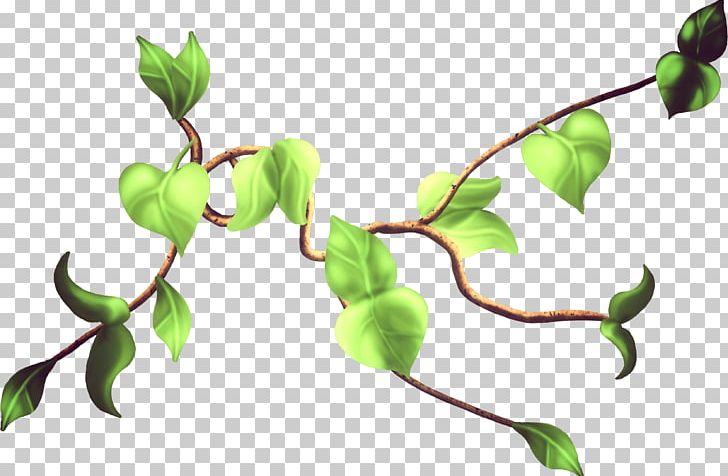 Twig Leaf Bud PNG, Clipart, 2016, 2017, Branch, Bud, Download Free PNG Download