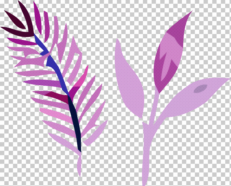 Feather PNG, Clipart, Biology, Branching, Feather, Flower, Geometry Free PNG Download