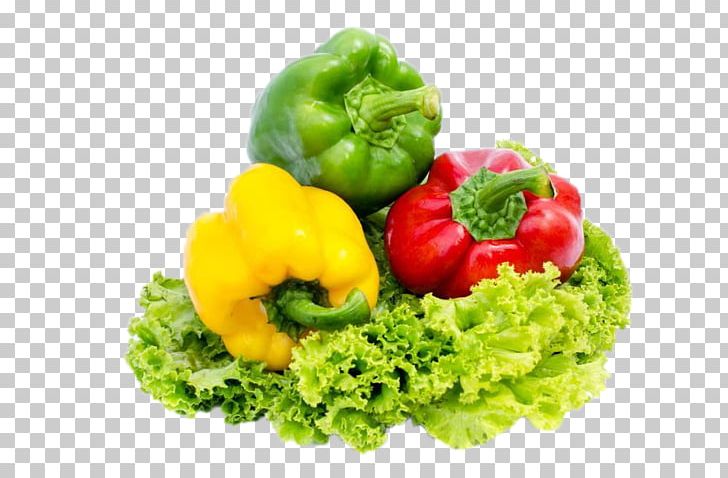 Bell Pepper Lettuce Chili Pepper Vegetable Food PNG, Clipart, Bell Peppers And Chili Peppers, Capsicum, Capsicum Annuum, Chili, Chili Peppers Free PNG Download