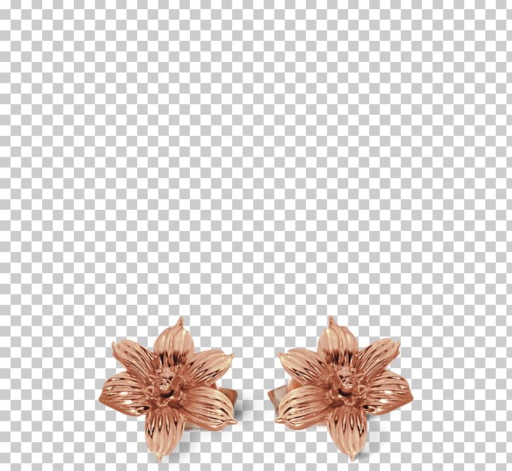 Earring Sisyrinchium Bermudiana The Bermudiana Jewellery Davidrose Studio PNG, Clipart, Bermuda, Bermudiana, Charms Pendants, Colored Gold, Earring Free PNG Download