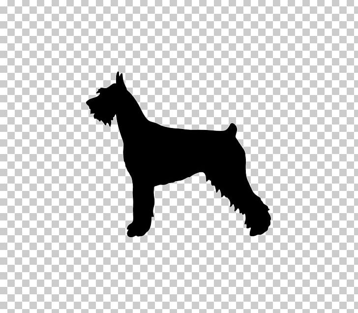Giant Schnauzer Miniature Schnauzer Standard Schnauzer Rottweiler Pit Bull PNG, Clipart, American Kennel Club, Black, Black And White, Breed, Bumper Sticker Free PNG Download