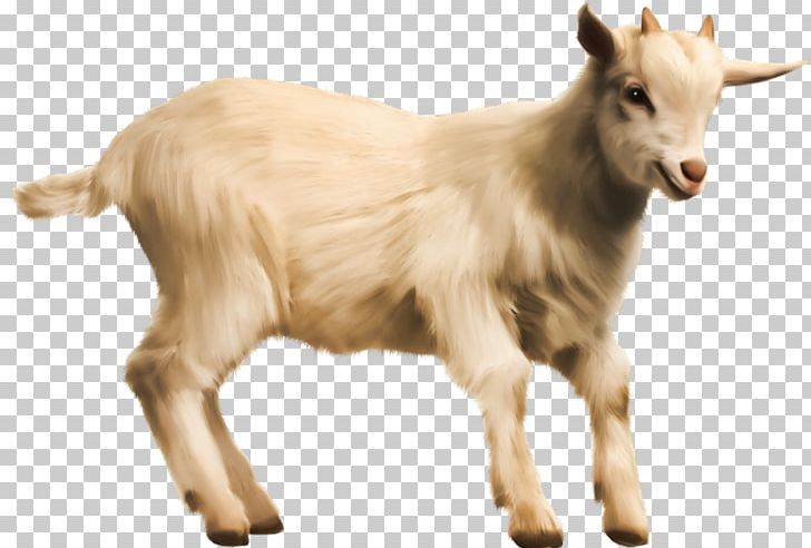 Goat Web & Roll Web Design WEB-ROLL Search Engine Optimization PNG, Clipart, Algorithm, Computer Science, Cow Goat Family, Digital Marketing, Donate Free PNG Download