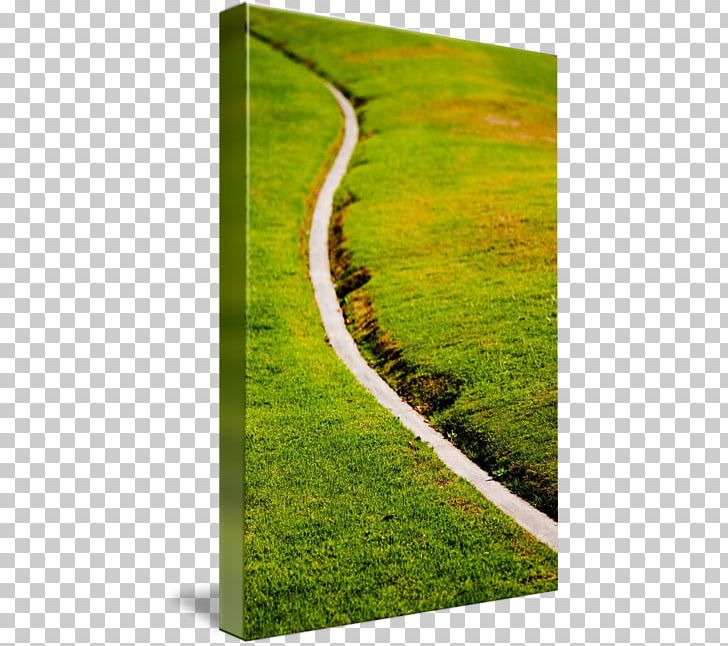 Lawn Meadow Landscape Grasses Family PNG, Clipart, Country Road, Family, Field, Grass, Grasses Free PNG Download
