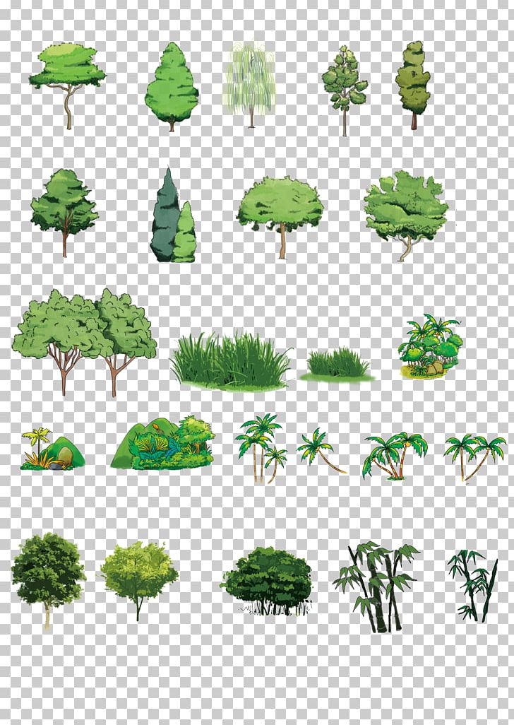 Tree Computer File PNG, Clipart, Branch, Cartoon, Com, Computer Program, Design Free PNG Download