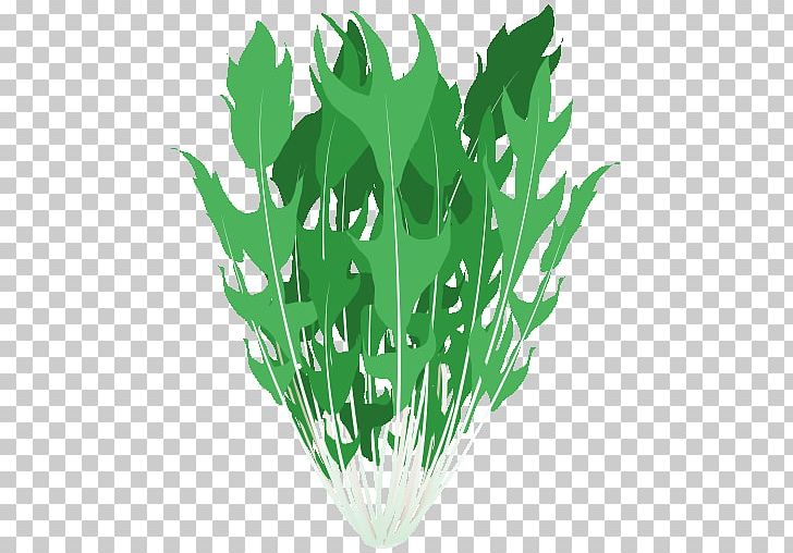 Leaf Vegetable 野菜かな Mizuna PNG, Clipart, Broccoli, Cabbage, Cauliflower, Commodity, Grass Free PNG Download