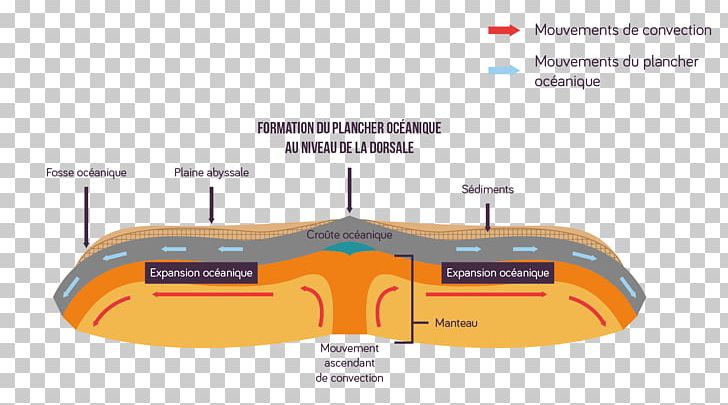 Oceanic Crust Seafloor Spreading Continental Drift