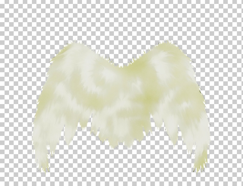 Feather PNG, Clipart, Costume Accessory, Feather, Feather Boa, Fur, Paint Free PNG Download