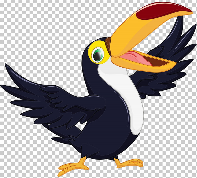 Hornbill Birds Toucans Piciformes Coraciiformes PNG, Clipart, Beak, Birds, Cartoon M, Coraciiformes, Hornbill Free PNG Download