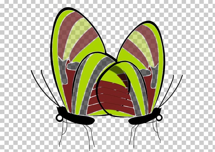 Butterfly Insect PNG, Clipart, Animal, Arthropod, Brush Footed Butterfly, Butterflies And Moths, Butterfly Free PNG Download