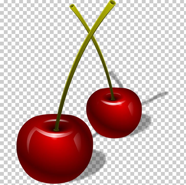 Cherry Cerasus Berry PNG, Clipart, Berry, Cerasus, Cherry, Cherry Berry, Cherry Pie Free PNG Download