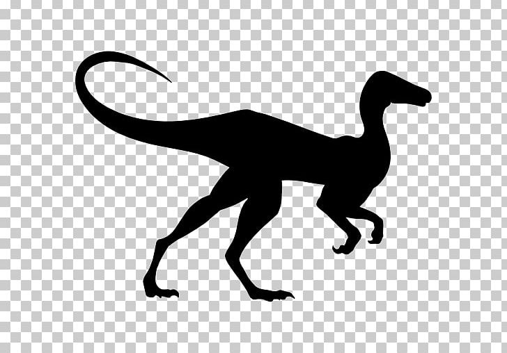 Compsognathus Brachiosaurus Dinosaur Gigantoraptor Diplodocus PNG, Clipart, Argentinosaurus, Artwork, Beak, Black And White, Brachiosaurus Free PNG Download