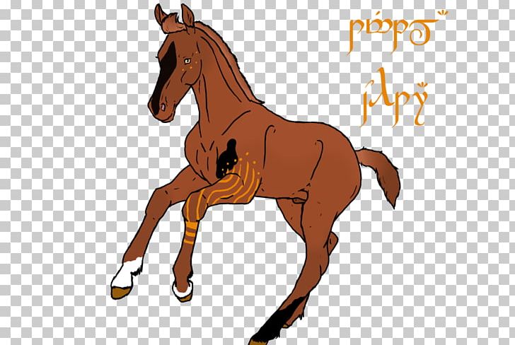 Foal Mane Stallion Mustang Colt PNG, Clipart, Animal Figure, Bridle, Colt, English Riding, Ewha Free PNG Download