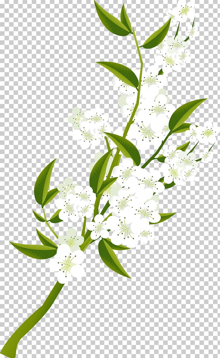 Branch Twig PNG, Clipart, Branch, Designer, Flora, Flower, Flowering Plant Free PNG Download