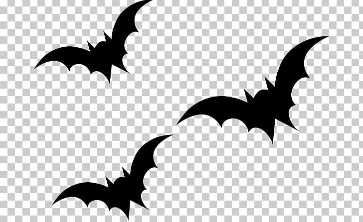 Cricut PNG, Clipart, Artwork, Avatar, Bat, Black And White, Butterfly Free PNG Download