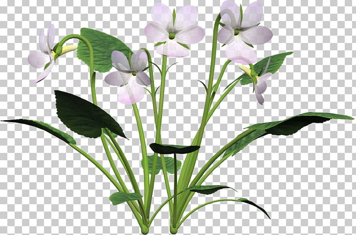 Cut Flowers Petal Plant Stem Violet PNG, Clipart, Cut Flowers, Flora, Flower, Flowering Plant, Herbaceous Plant Free PNG Download