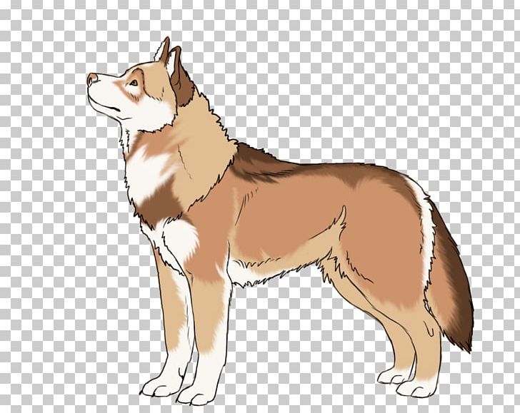 Dog Breed German Shepherd Dogo Argentino Puppy Dingo PNG, Clipart, American Kennel Club, Animal, Animals, Breed, Breed Group Dog Free PNG Download