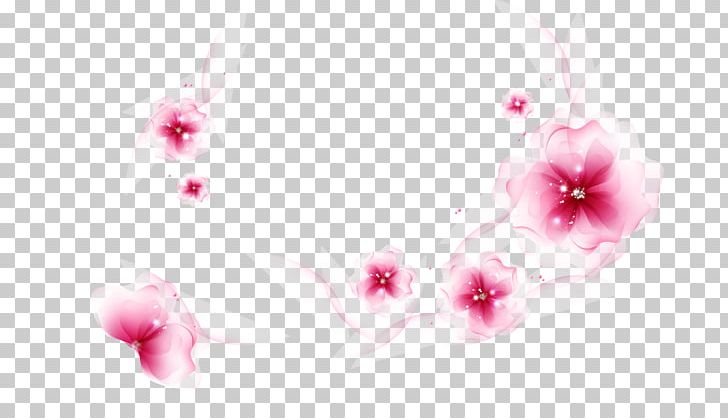 Flower Desktop Photograph Portable Network Graphics PNG, Clipart, Blossom, Cherry Blossom, Closeup, Computer, Computer Wallpaper Free PNG Download