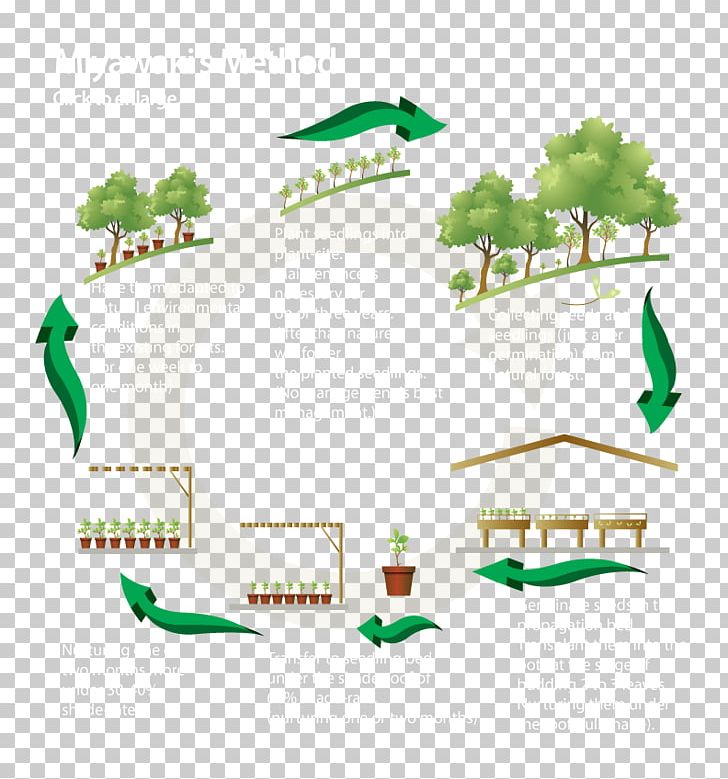 Afforestation Projects Tree Forest Management PNG, Clipart, Afforestation, Akira Miyawaki, Area, Diagram, Feasibility Study Free PNG Download