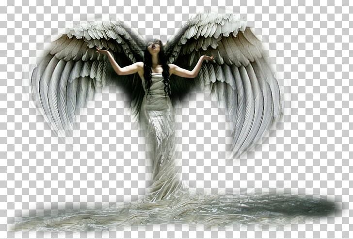 Angel Email PNG, Clipart, Angel, Beak, Email, Fantastik Resimler, Fantasy Free PNG Download