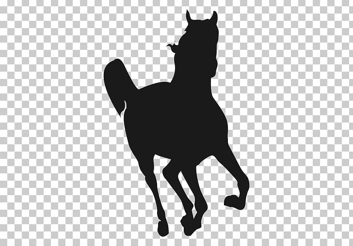 Horse Canter And Gallop Silhouette PNG, Clipart, Animals, Black, Cat, Cat Like Mammal, Colt Free PNG Download