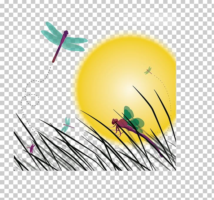Insect Dragonfly Sunset Illustration PNG, Clipart, Computer Graphics, Computer Wallpaper, Dragonfly Vector, Euclidean Vector, Graphic Design Free PNG Download