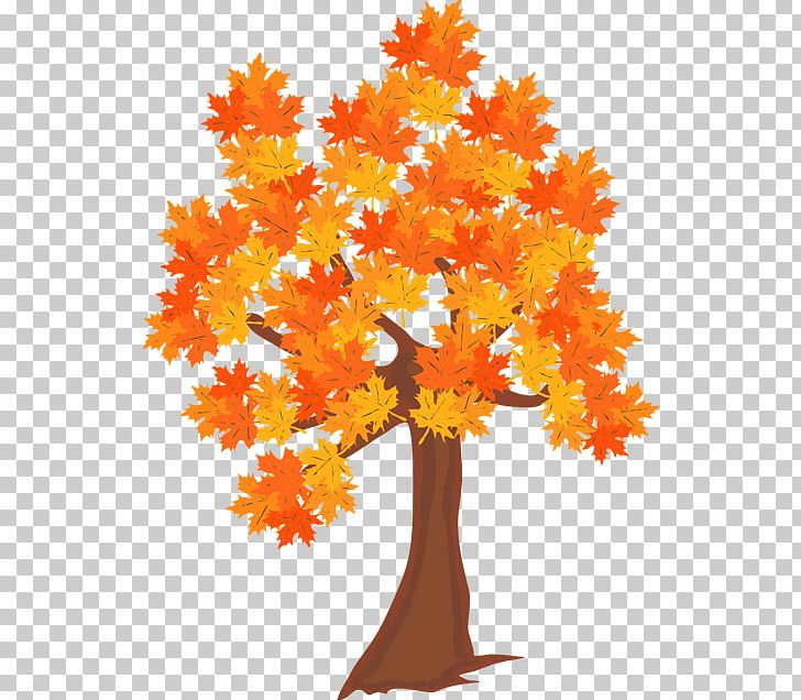Tree Forest Autumn Leaf PNG, Clipart, Autumn, Branch, Conifers, Daytime, Drawing Free PNG Download