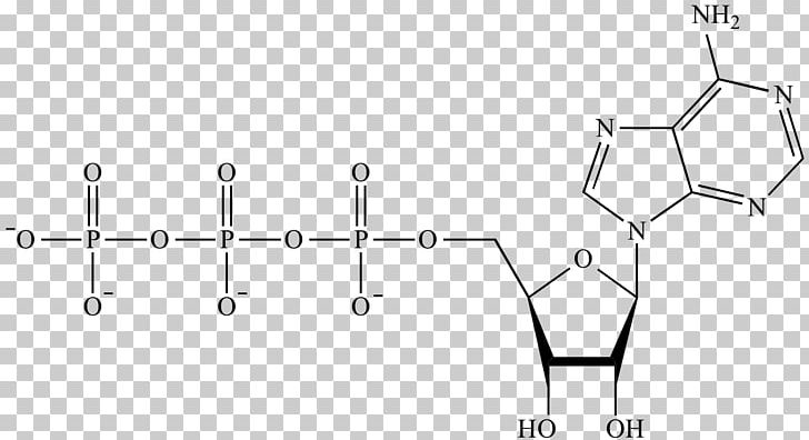 Adenosine Triphosphate Adenosine Monophosphate Chemistry PNG, Clipart, Adenosine, Adenosine Monophosphate, Adenosine Triphosphate, Angle, Area Free PNG Download