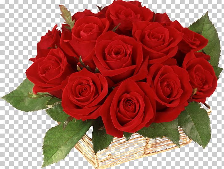 Bella Italia Gift Flower Birthday Valentine's Day PNG, Clipart, Birthday, Burgundy Flowers, Cut Flowers, Floral Design, Floribunda Free PNG Download