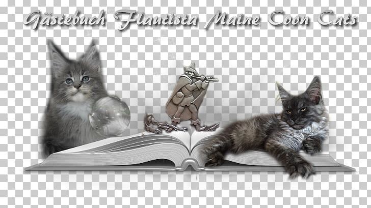 Whiskers Maine Coon Kitten Raccoon PNG, Clipart, Black And White, Carnivoran, Cat, Cat Like Mammal, Fauna Free PNG Download