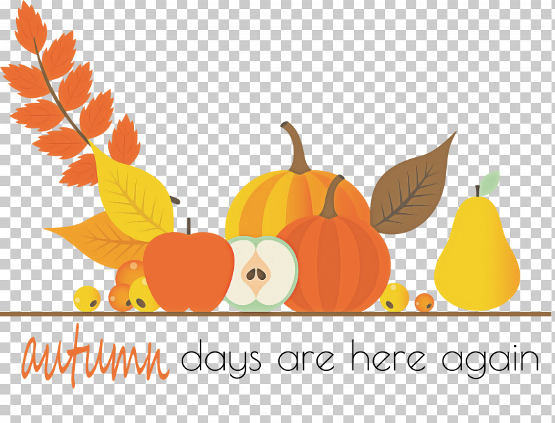 Happy Thanksgiving Happy Thanksgiving Background PNG, Clipart, Christmas Day, Gourd, Happy Thanksgiving, Happy Thanksgiving Background, Holiday Free PNG Download