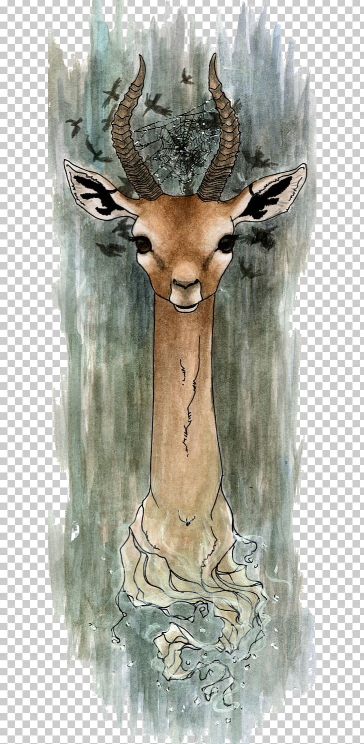 Giraffe Elk Kudu Antler PNG, Clipart, Animal, Animals, Antelope, Antler, Chevrolet Impala Free PNG Download